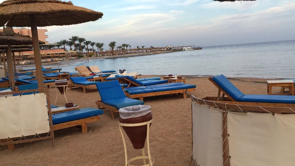 الفندق الباتروس بالاس (للعائلات فقط) - شرم الشيخ